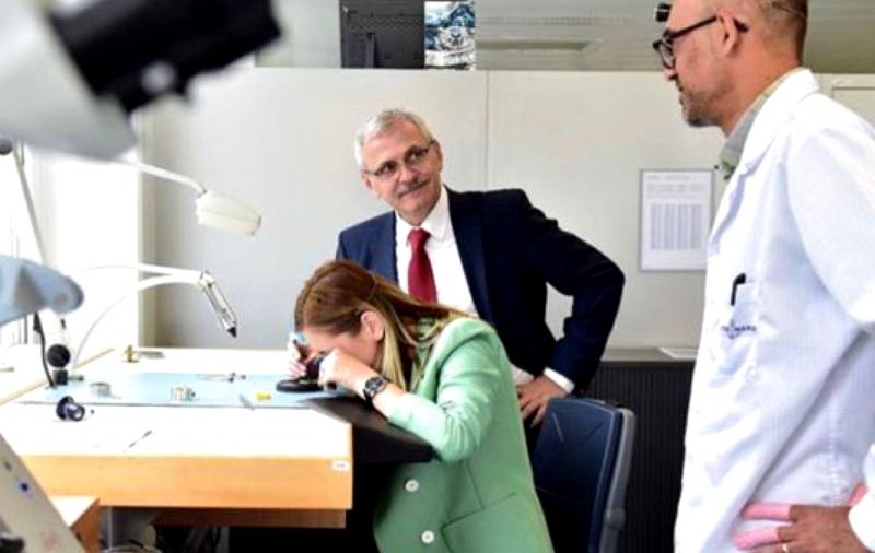 UPDATE | Dragnea a închiriat avioane private pentru deplasările din Israel și Elveția, unde a luat-o şi pe Irina Tănase. Reacţia lui Marcel Ciolacu