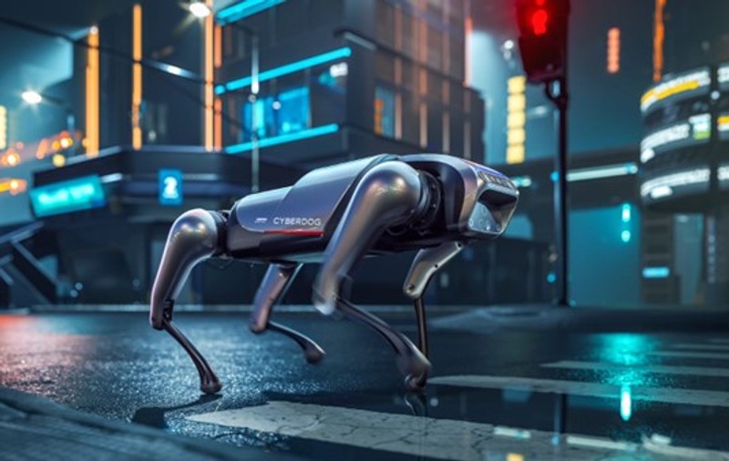 Câinele-robot a ajuns la București. Își recunoaște stăpânul, răspunde la comenzi și se ridică în două picioare