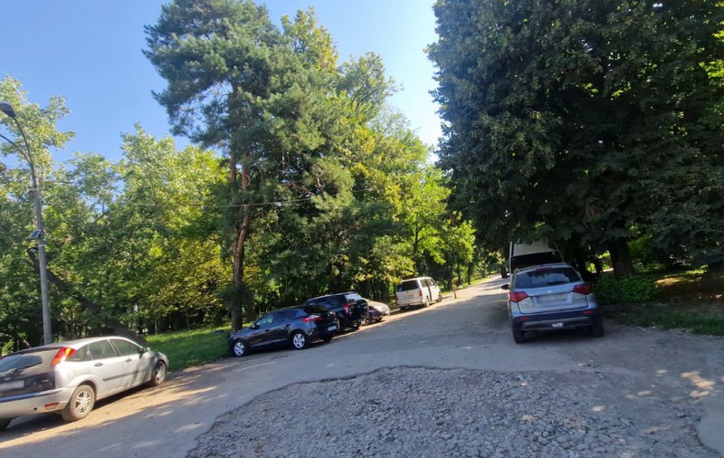 Începe reabilitarea aleii din Parcul Herăstrău: 527 de locuri de parcare cu barieră și zonă pietonală nouă