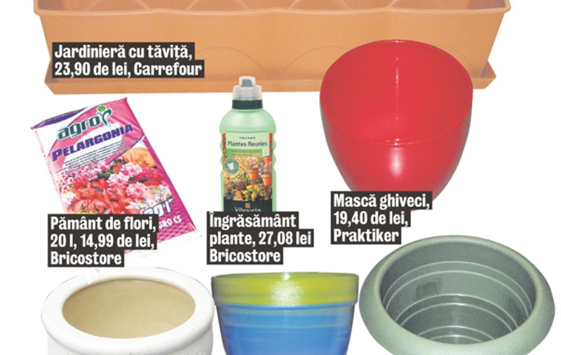 Umple-ţi casa cu flori!