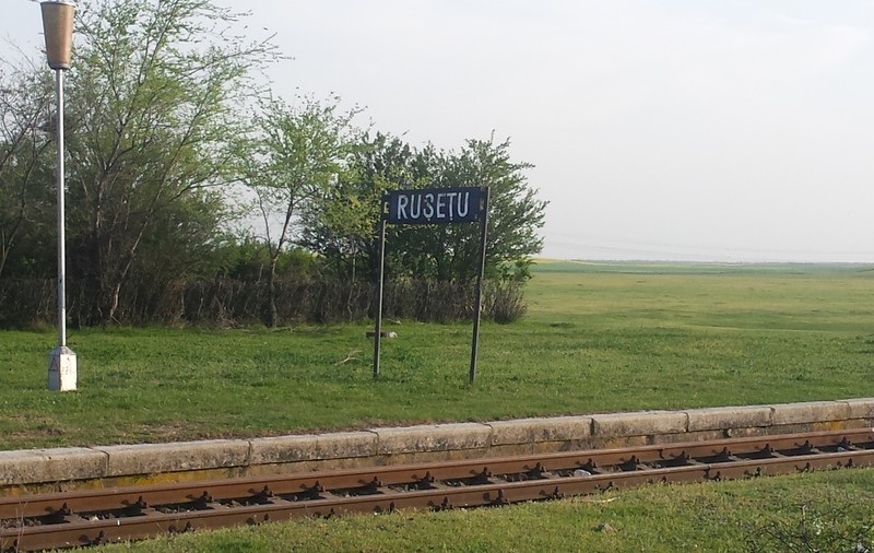 UPDATE Crimă înfiorătoare la Buzău! Și-a omorât copilul cu zeci de lovituri de cuțit, apoi s-a spânzurat în pădure