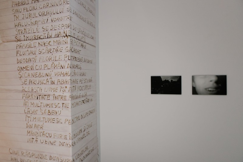 Un text de Ionel Ciupureanu pentru Terror Art