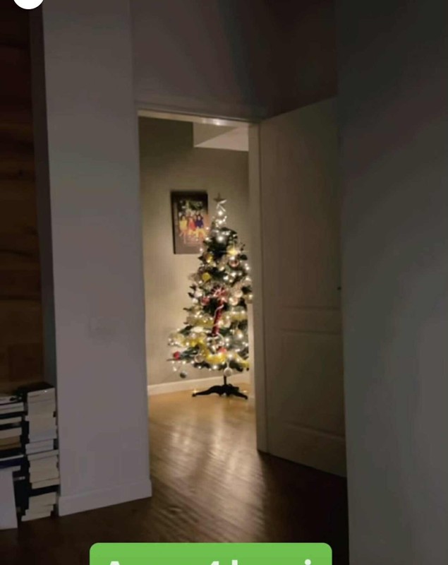 Cum arată cei patru brazi de Crăciun împodobiți de Mirela Vaida. Decor spectaculos și atmosferă de poveste în casa prezentatoarei