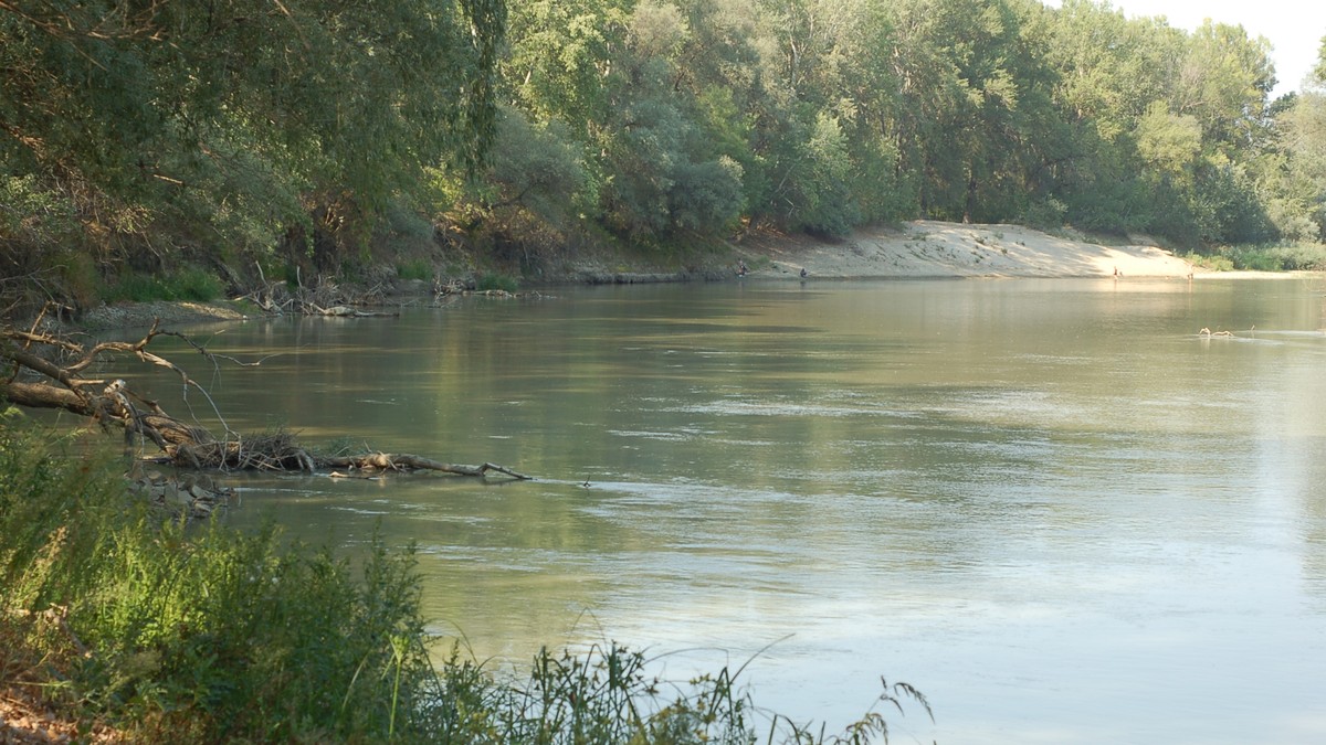 Arhiva foto