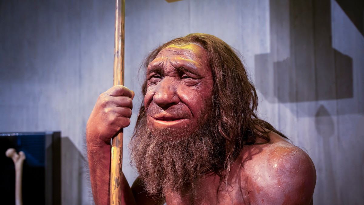 Imaginea prezintă o reconstituire realistă a unui bărbat neanderthalian, cu trăsături robuste, frunte joasă și sprâncene proeminente. Personajul are părul lung și barbă deasă, ține în mână o suliță din lemn și poartă o îmbrăcăminte simplă din piele de animal, sugerând viața din perioada preistorică.