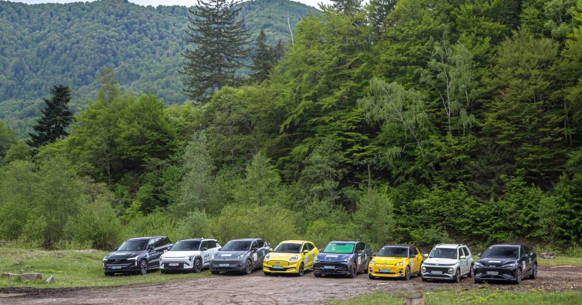 Grup de mașini electrice aliniate într-o pădure. Mașinile sunt de culori și mărci diferite