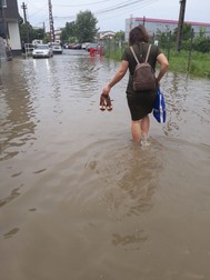 Arhiva foto