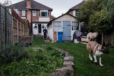 Cristian Rădulescu în curtea casei lui, împreună cu Luna, un metis de Akita Inu și ciobănesc german. Derby, UK, septembrie 2021