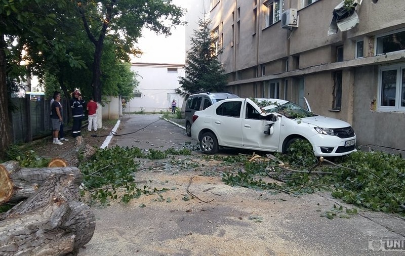 Comandament de Urgență la Primăria Capitalei: Copaci căzuți, semafoare defecte și avarii la liniile RATB, în urma furtunii