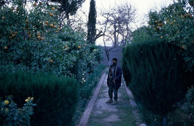 Civili în Afganistan, fotografii de Vlad Petri, în călătoria din 2010