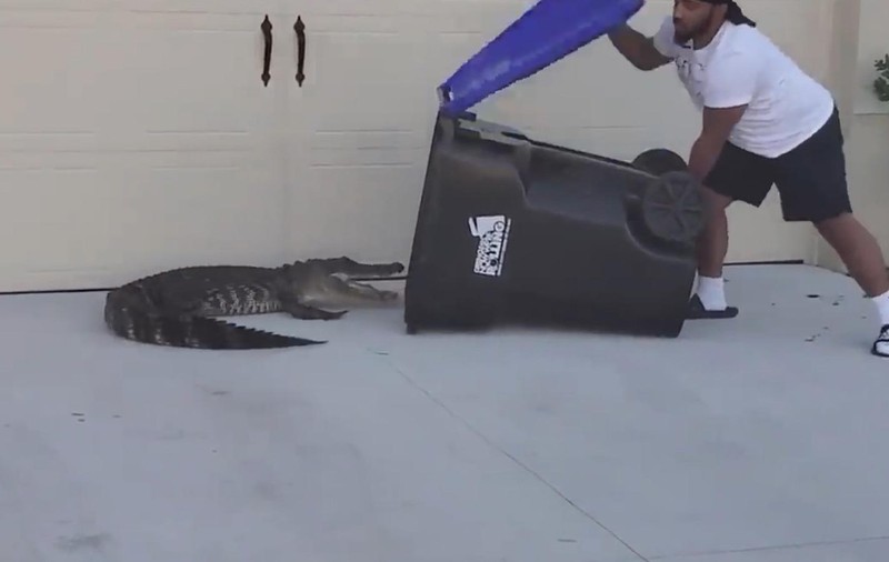 VIDEO VIRAL. Un bărbat a prins un aligator de aproape 2 metri într-un tomberon