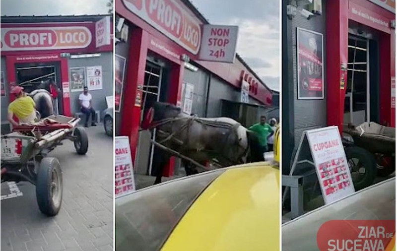 Un agent de pază din Suceava a intrat cu calul în magazinul în care lucra, pentru a atrage atenția polițiștilor | VIDEO