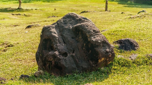 Un bolovan de peste 10 kilograme, folosit timp de decenii ca opritor de ușă într-o fermă din Michigan, s-a dovedit a fi un meteorit rar, evaluat la aproximativ 100.000 de dolari. 