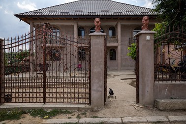 O cloşcă intră pe poarta casei lui Limbrian