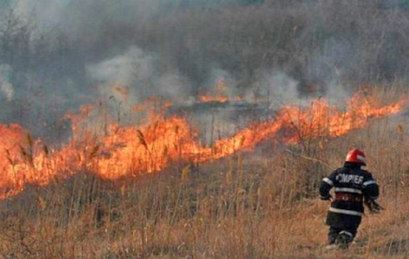 Incendiu de vegetație pe Autostrada Bucureşti–Piteşti! Traficul este îngreunat