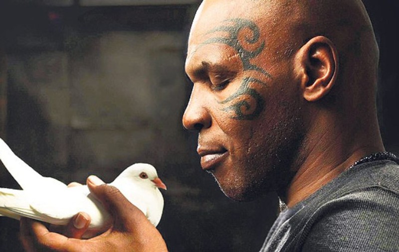 O fostă iubită i-a mâncat porumbeii lui Mike Tyson! Vezi cum A REACŢIONAT boxerul!
