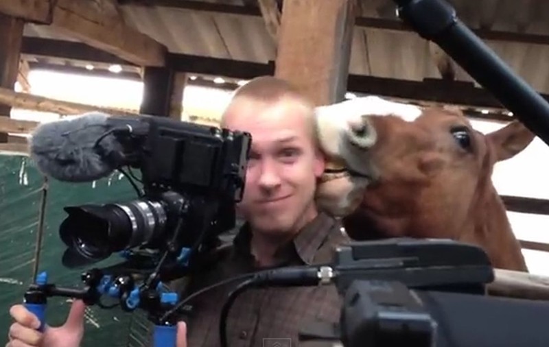 CALUL IUBĂREŢ şi PLIN de TANDREŢE! Uite ce ÎI FACE UNUI CAMERAMAN, în timpul unu INTEVRIU! REACŢIA BĂRBATULUI... îţi va STÂRNI HOHOTE DE RÂS! VIDEO