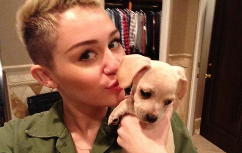 Miley Cyrus face yoga în bikini pe plajă - FOTO