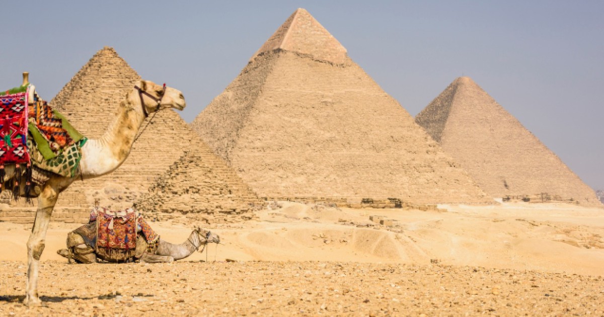 Piramide maiestuoase se înalță înalte în peisajul deșertic sub un cer albastru senin. Două cămile îmbrăcate în textile colorate se odihnesc în prim-plan.