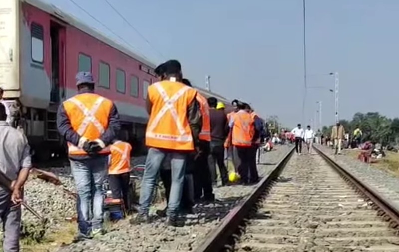 Șapte elefanți uciși pe o linie ferată de mare viteză în India. Cum a evitat mecanicul o tragedie și mai mare