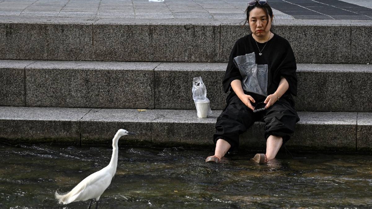 O femeie se răcorește în timp ce o egretă stă în pârâul Cheonggyecheon din Seul. Coreea de Sud a emis prima sa alertă de urgență pentru val de căldură pe 12 iulie.