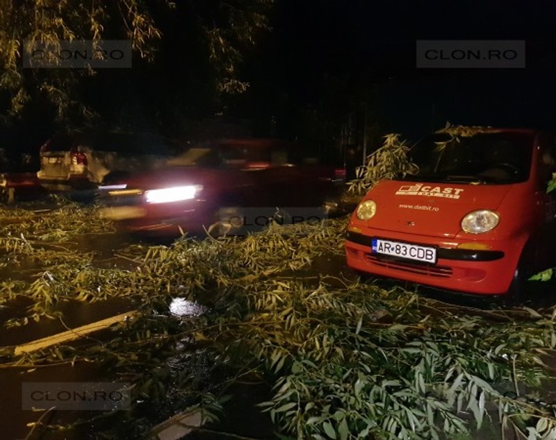 Furtună puternică în Arad. Incendiu, sute de case fără curent și mașini distruse de copaci din cauza vijeliei