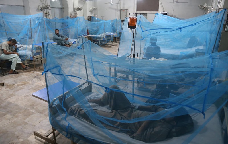 Crește numărul cazurilor de febră dengue în Pakistan, din cauza inundațiilor puternice din ultima perioadă