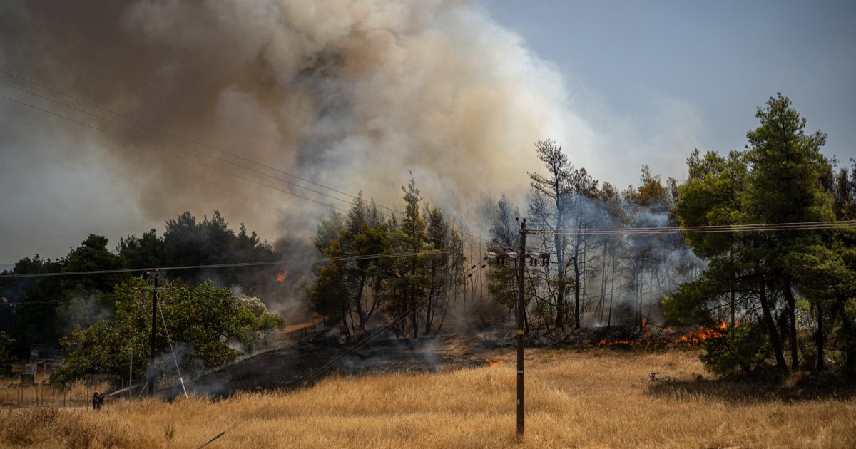 Fumul care se ridică dintr-o pădure în timpul unui incendiu de vegetație lângă satul Psachna de pe insula Evia, Grecia