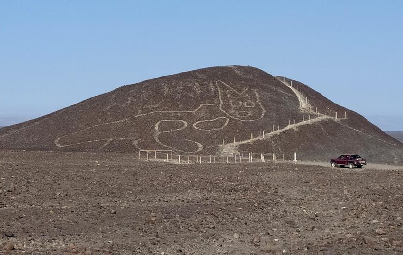 O pisică uriașă, gravată în urmă cu 2.000 de ani, descoperită în zona „liniilor Nazca” din Peru
