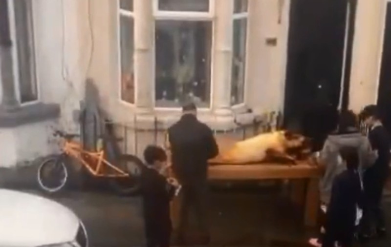 Români filmați când pârleau porcul pe o stradă din Liverpool: „Da, e Crăciunul! Respect pentru tradiții” | VIDEO