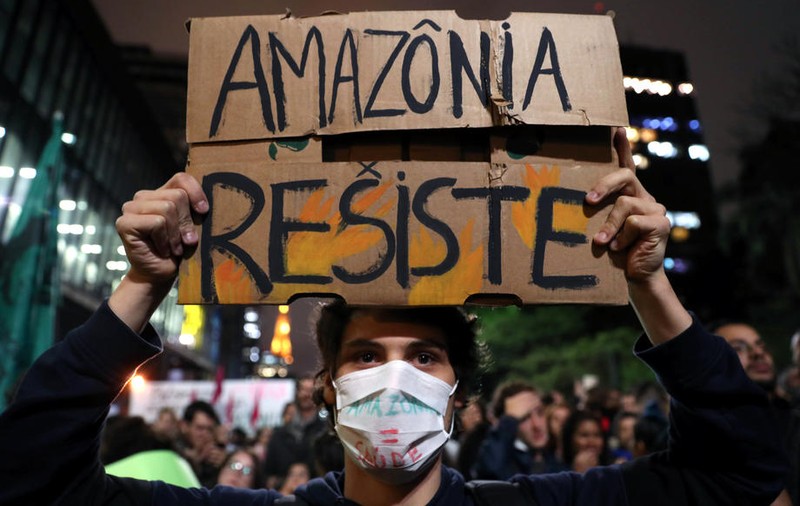 Defrișările pădurii din Amazonia s-au dublat față de anul trecut
