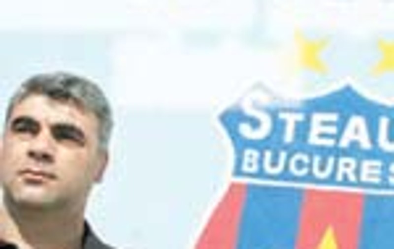 Renaste pepiniera Stelei