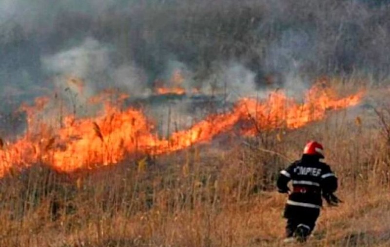 Incendiu în zona plajei Corbu. Pompierii intervin cu 2 autospeciale