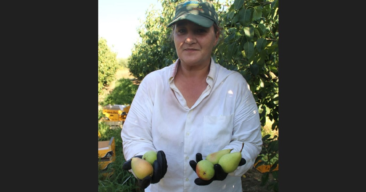 O româncă a renunțat să fie contabilă într-un spital din România și lucrează acum în agricultură în Spania