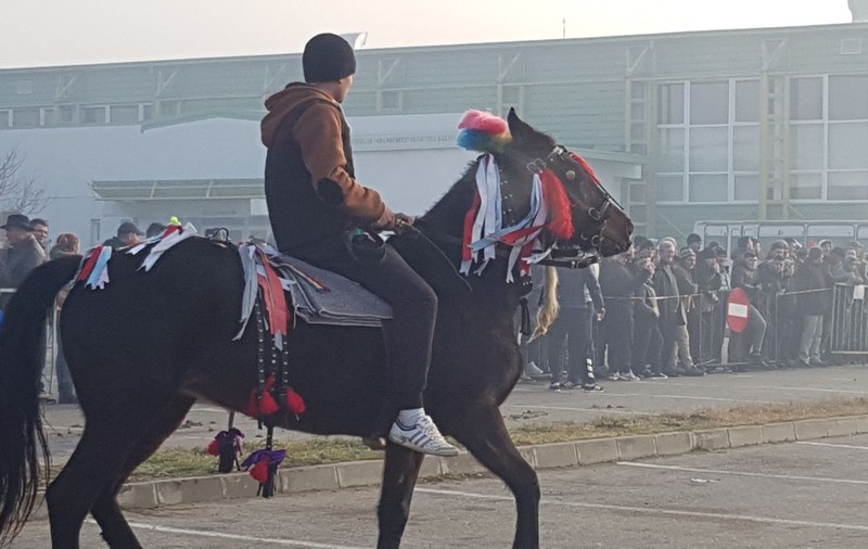 REPORTAJ: De Bobotează, caii din orașul lui Nea Mărin au fost stropiți cu agheasmă ca să nu se prindă blestemele de ei| FOTO