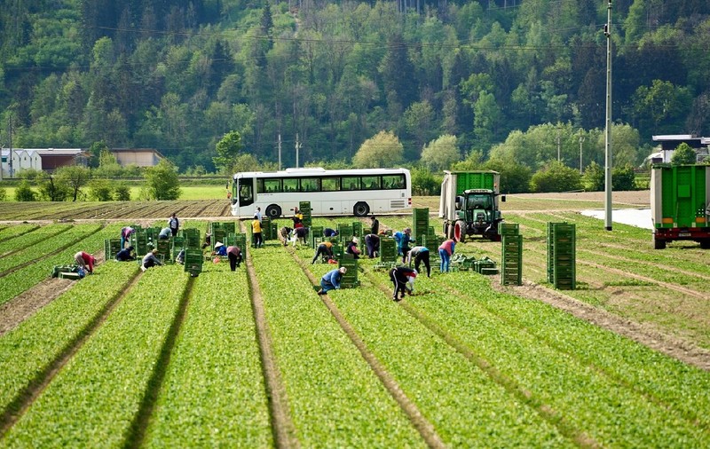 Șoferul care aducea acasă șase muncitori români le-a furat 15.000 de euro și i-a abandonat într-o benzinărie, în Austria