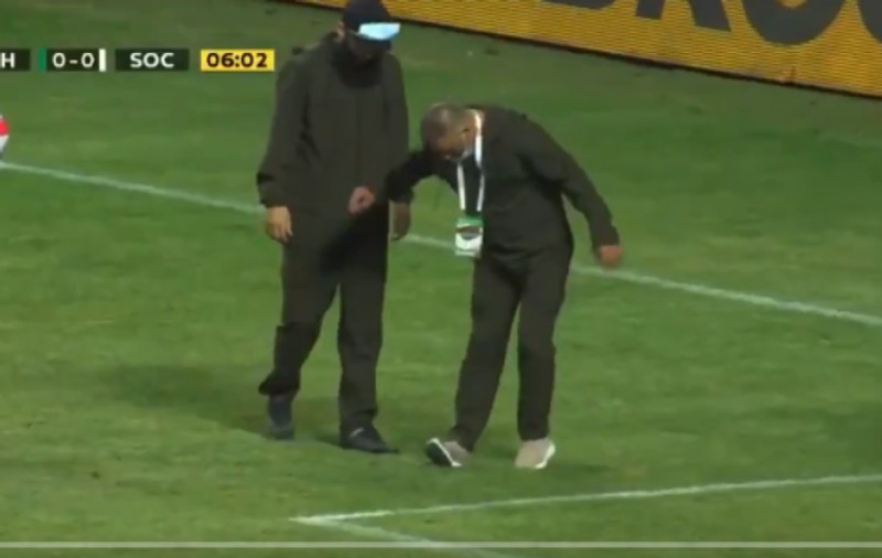Un șarpe a întrerupt un meci de fotbal din Rusia. Cum a fost scoasă reptila de pe teren