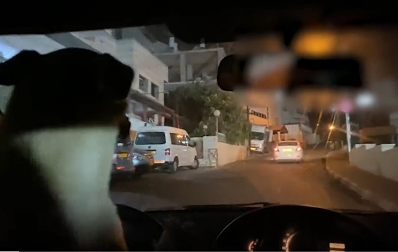 Șofer arestat în Israel, după ce și-a lăsat câinele să conducă. Mașina nu avea inspecția tehnică făcută