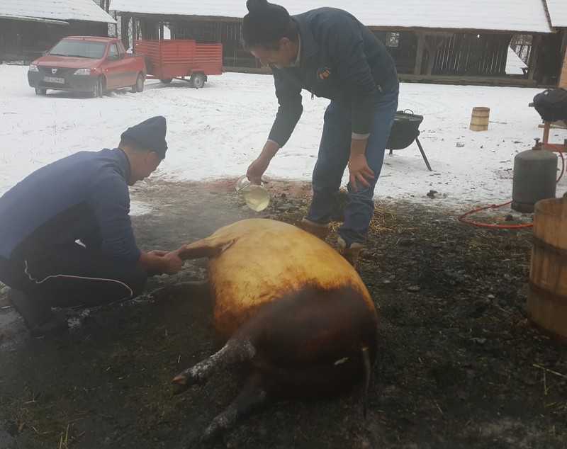 Tradiția Ignatului a fost pusă în scenă la Sibiu GALERIE FOTO