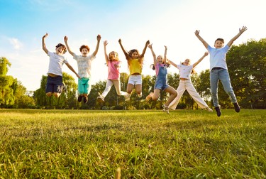Activitățile elevilor din cadrul programelor „Școala Altfel” și „Săptămâna Verde” ar putea deveni mai practice, mai ancorate în realitate. Foto: Shutterstock 