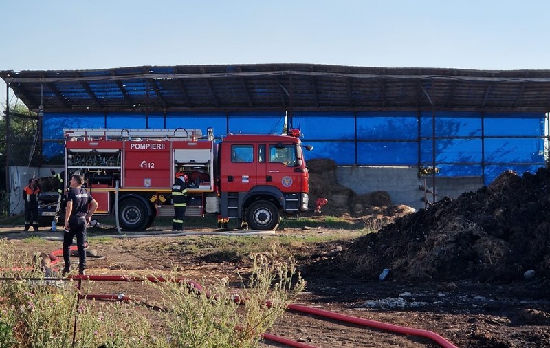 Incendiu violent la un adăpost de animale din judeţul Satu Mare, provocat de un scurtcircuit la un cablu defect