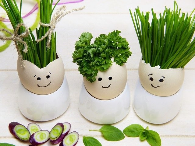 Salată de ouă cu ceapă verde