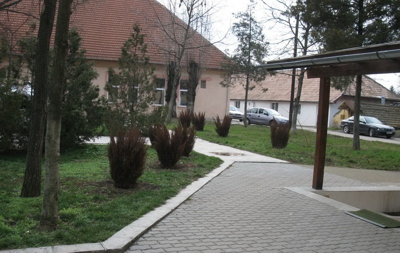 Care este starea femeii diagnosticate cu coronavirus. Medicii de la Timișoara au făcut anunțul