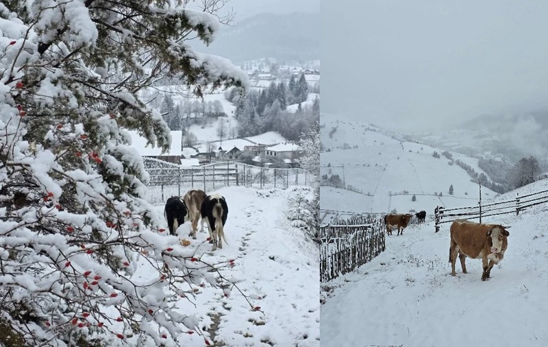 Zona din România unde ninge slab: „Circulaţi cu atenţie”