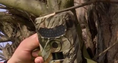 Camerele de supraveghere sunt ascunse în copaci