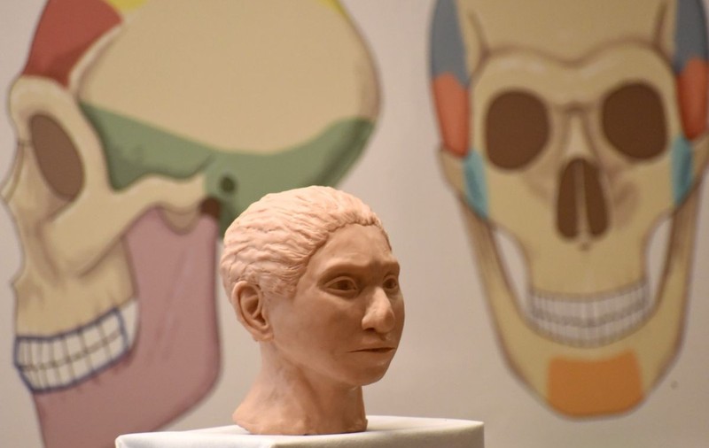 Craniul uriaș „Dragon Man” ar putea fi prima dovadă a omului Denisovan, vărul pierdut al speciei noastre