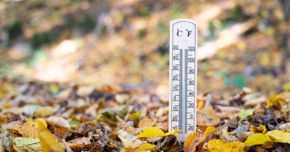 Termometru printre frunze ruginii, căzute pe pământ, care arată că vremea se răcește