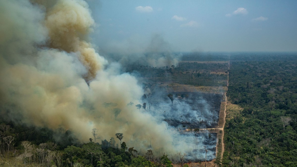 Incendiile din Amazon au fost provocate de fermieri (HEPTA)