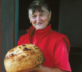 Arhiva foto