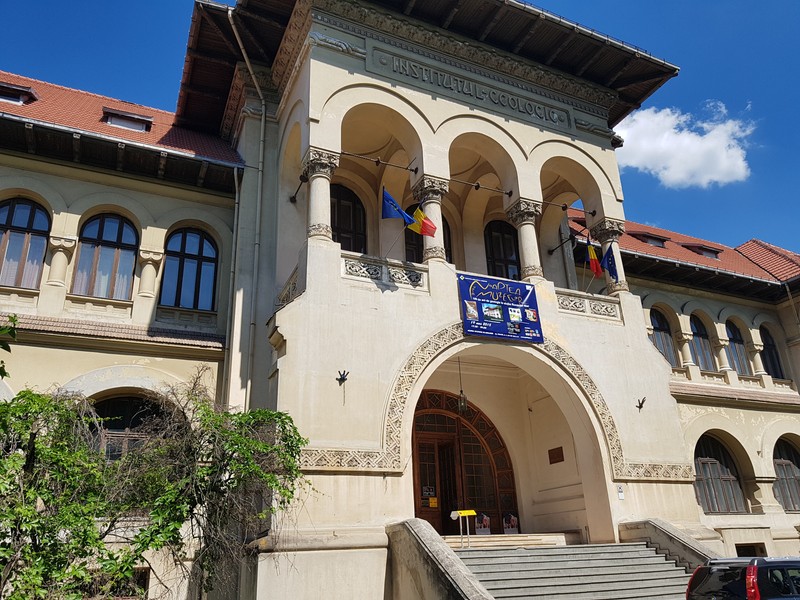 În curtea Muzeului de Geologie s-a deschis o expoziție cu vânzare de minerale, cristale, obiecte de podoabă și fosile. Printre exponate, la acestă ediție a fost adusă, în mod excepțional, o geodă de 400 de kilograme, importată din Brazilia.